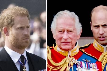 Besuch von Prinz Harry: William und Charles zeigen ihm kalte Schulter Besuch von Prinz Harry: William und Charles zeigen ihm kalte Schulter