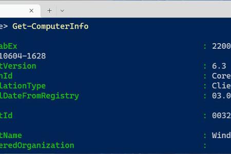 Get-ComputerInfo zeigt beispielsweise an, welche Windows-Version installiert ist und welcher Prozessor im Computer steckt.