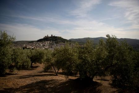 Bauernproteste: Andalusien-Rundfahrt kürzer Bauernproteste: Andalusien-Rundfahrt kürzer