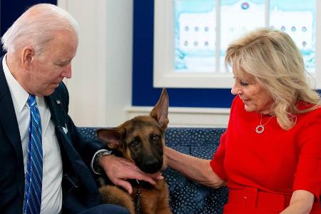 Nach Beißattacken: Joe und Jill Biden haben Hund Commander weggegeben Nach Beißattacken: Joe und Jill Biden haben Hund Commander weggegeben
