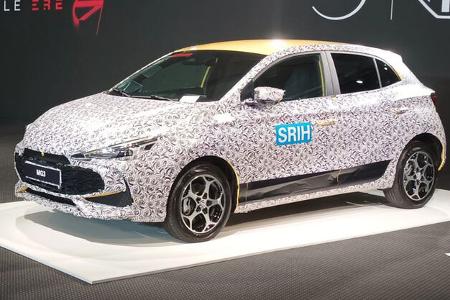 MG3 Kleinwagen getarnt