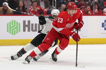 Absturz der Red Wings geht ungebremst weiter Absturz der Red Wings geht ungebremst weiter