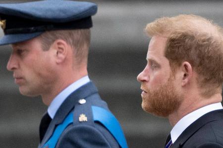 Würde Prinz William Rückkehr von Prinz Harry verhindern? Würde Prinz William Rückkehr von Prinz Harry verhindern?
