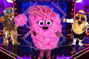 "The Masked Singer": Auch Zuckerwatte und Robodog mischen mit