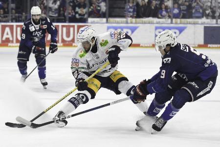 Eisbären mit Comeback - trauriges Pietta-Jubiläum Eisbären mit Comeback - trauriges Pietta-Jubiläum