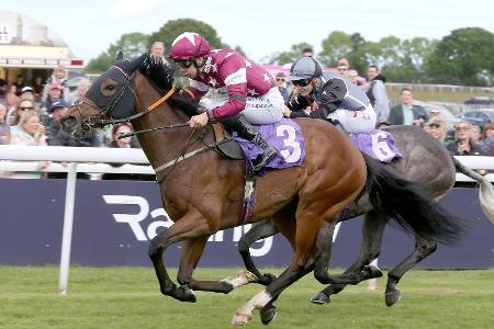 Galopp: Italienischer Jockey stirbt nach Sturz
