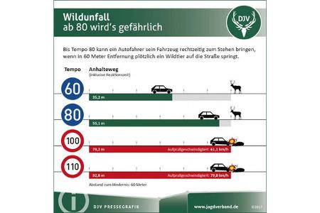 Wildunfälle 