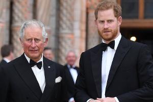 Neuer Wirbel um Prinz Harry: Darf er seinen Vater noch vertreten?