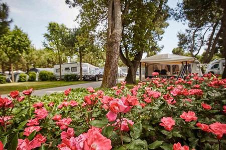 Camping Village Dei Fiori