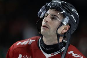 Kölner Haie: Kammerer bleibt, noch kein neuer Trainer