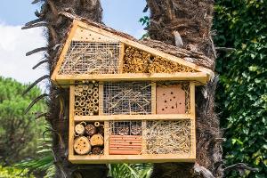 Artenschutz im eigenen Garten: Was ein gutes Insektenhotel ausmacht