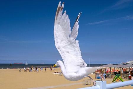 Top 12 Campingplätze Niederlande Nordseeküste