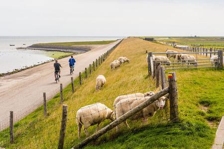 Nordseeküste Niederlande Radfahren