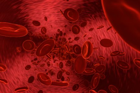 Rote Blutkörperchen im Körper