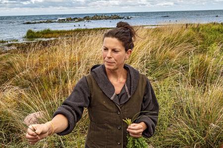 Reise-Tipp Bornholm