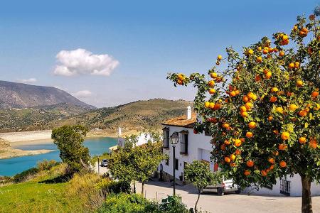 Mobil-Tour Spanien und Portugal - Orangen