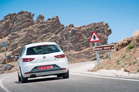 Seat León, Heckansicht