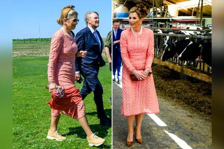 Überraschender Anblick: Willem-Alexander und Máxima im Kuhstall Überraschender Anblick: Willem-Alexander und Máxima im Kuhstall
