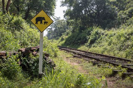 Warnschild vor Elefanten an einer Bahnstrecke