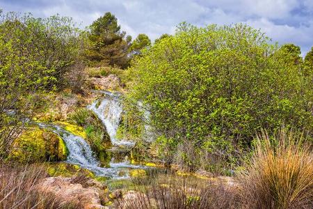 Naturpark, Wasserquelle, StrŠucher, BŸsche, BŠume, Himmel