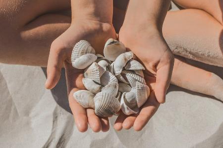 Verbotenes Urlaubssouvenir: Hier ist Muscheln sammeln nicht erlaubt Verbotenes Urlaubssouvenir: Hier ist Muscheln sammeln nicht erlaubt