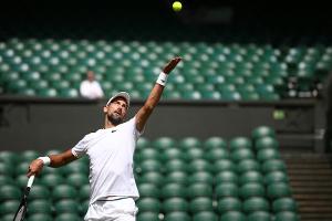 Djokovic "schmerzfrei" in Wimbledon - Rat von Ibrahimovic