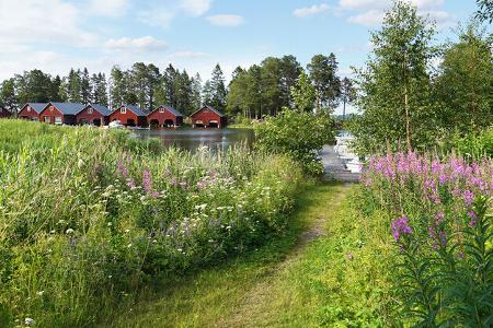Fischerdorf, Wiese, Blumen, GrŠser, Rote HŠuschen, BŠume, Baum