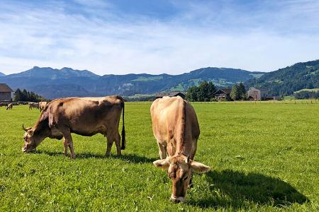 Campingreise Vorarlberg