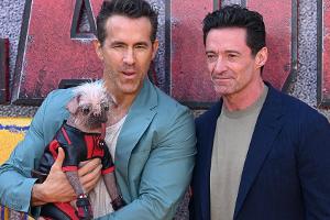Ryan Reynolds posiert mit dem hässlichsten Hund Großbritanniens