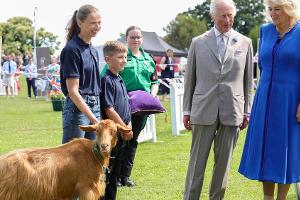 König Charles III. verleiht seltener Ziegenrasse königlichen Titel