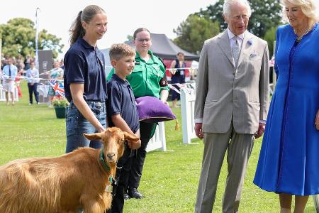 König Charles III. verleiht seltener Ziegenrasse königlichen Titel König Charles III. verleiht seltener Ziegenrasse königlichen Titel
