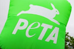 Fall Dujardin: PETA fordert Olympia-Aus für Reitsport