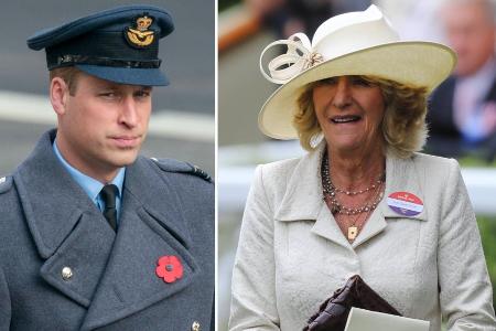 Prinz William streicht Camillas Schwester Annabel von der Gehaltsliste Prinz William streicht Camillas Schwester Annabel von der Gehaltsliste
