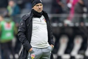 Antwerpen-Nachfolger: Mannheim holt Trares zurück
