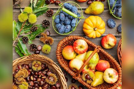 Herbstanfang: Dieses Obst und Gemüse hat jetzt Saison Herbstanfang: Dieses Obst und Gemüse hat jetzt Saison