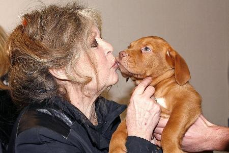 Brigitte Bardot wird 90: Ein tierisch engagiertes Sexsymbol Brigitte Bardot wird 90: Ein tierisch engagiertes Sexsymbol