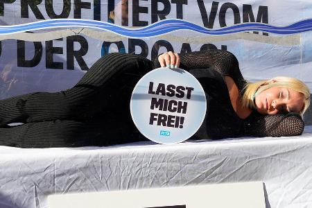 Sarah Connor: Aufsehenerregender Protest für Orca-Wale Sarah Connor: Aufsehenerregender Protest für Orca-Wale