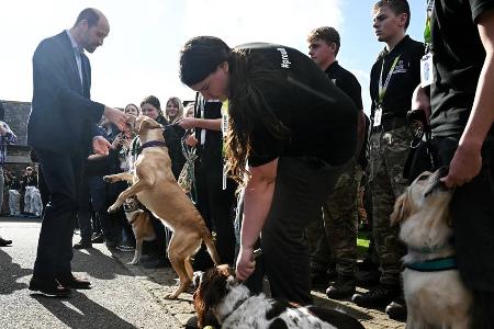 Prinz William zeigt seine Hundeliebe bei Besuch in Cornwall Prinz William zeigt seine Hundeliebe bei Besuch in Cornwall