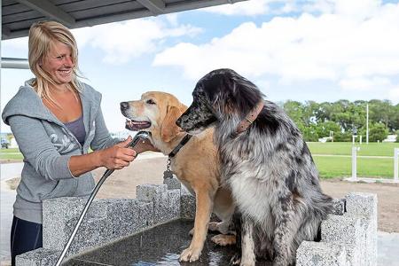 Campingplatz Hundehalter f