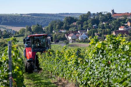 Höhere Kosten und weniger Wein-Trinker. Die Branche ist in der Krise. (Archivbild) 