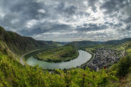 Bei der Entwicklung des Weinbaus muss nach Ansicht von Experten auch der Tourismus bedacht werden. (Archivbild)