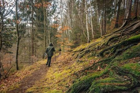 Thüringer Wald Thüringer Wald