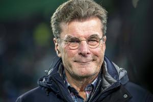 Offiziell: Hecking soll Bochum retten