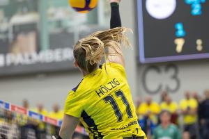 CEV: Schwerin greift in der Königsklasse an