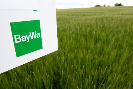 Die Baywa hat in ersten neun Monaten fast 641 Millionen Euro Verlust verbucht. Die Baywa hat in ersten neun Monaten fast 641 Millionen Euro Verlust verbucht.