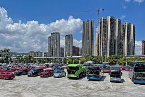 Build Your Dreams - wer ist BYD?