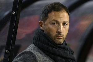 Tedesco in Belgien unter Druck: "Weiß, was ich tue"