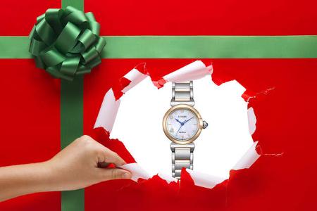 Adventskalender 2024 - 24 Citizen Adventskalender 2024 - 24 Citizen
