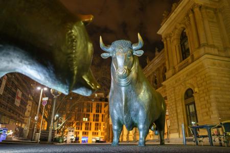 An der Börse sind die Bullen los: Der Dax steht erstmals in seiner Geschichte über 20.000 Punkten. (Archivbild) An der Börse sind die Bullen los: Der Dax steht erstmals in seiner Geschichte über 20.000 Punkten. (Archivbild)