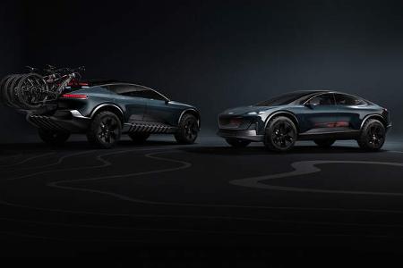 Audi Activesphere
